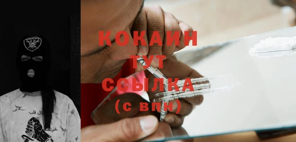 метадон Няндома