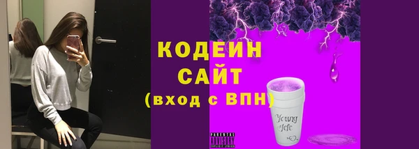 дмт Осинники