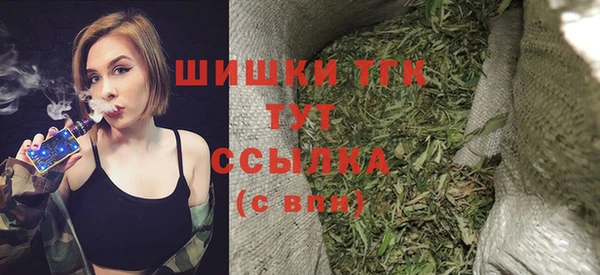 дмт Осинники