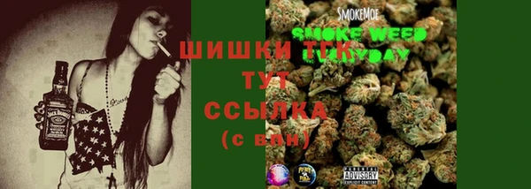 дмт Осинники