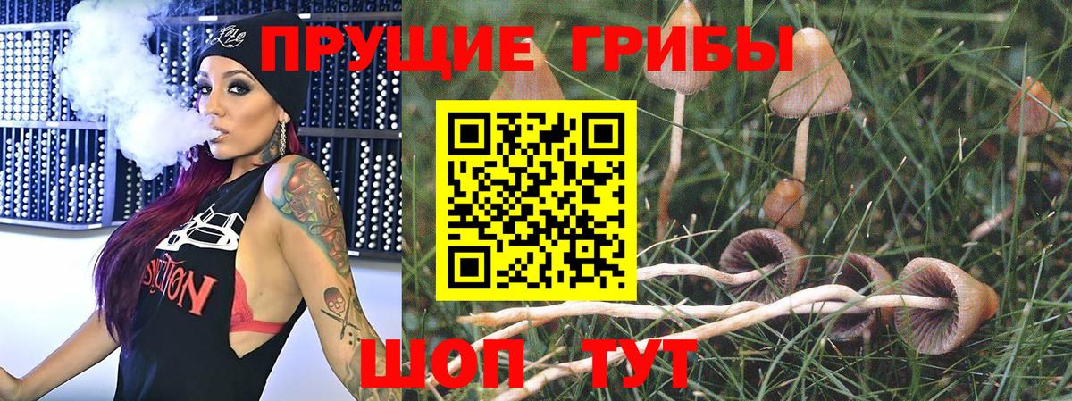 Галлюциногенные грибы ЛСД  Вход с VPN  Салават 